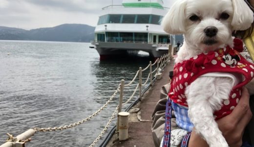 「芦ノ湖遊覧船」に乗船！愛犬と箱根旅行！